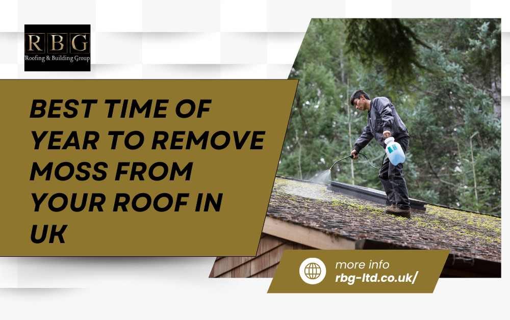 Best Time of Year to Remove Moss from Your Roof in UK