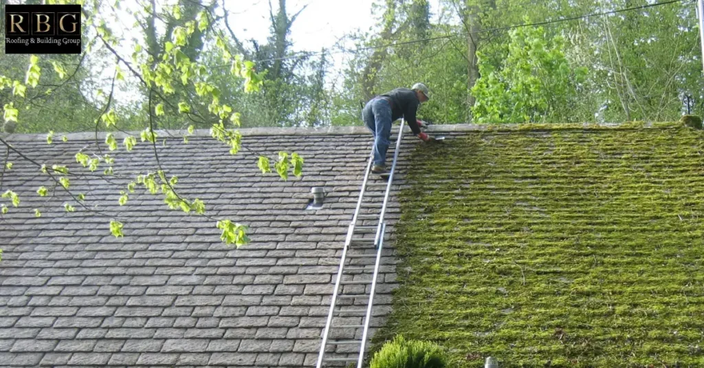 Remove moss from roof