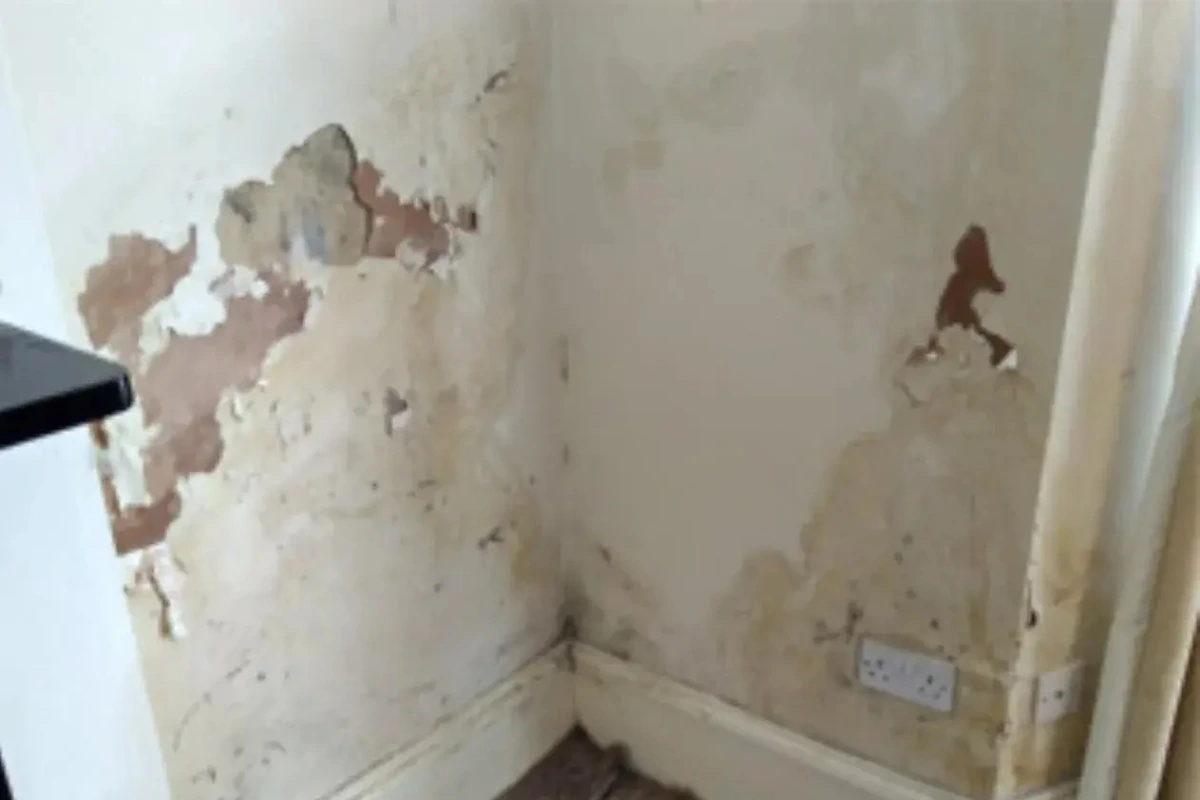 Damp Proofing