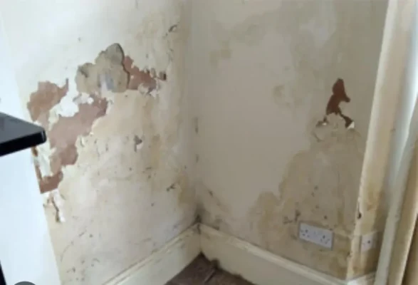 Damp Proofing image 2