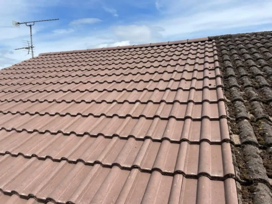 new roof forest of dean