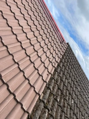 new roof in forest of dean