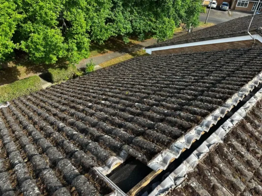 roofing in forest of dean