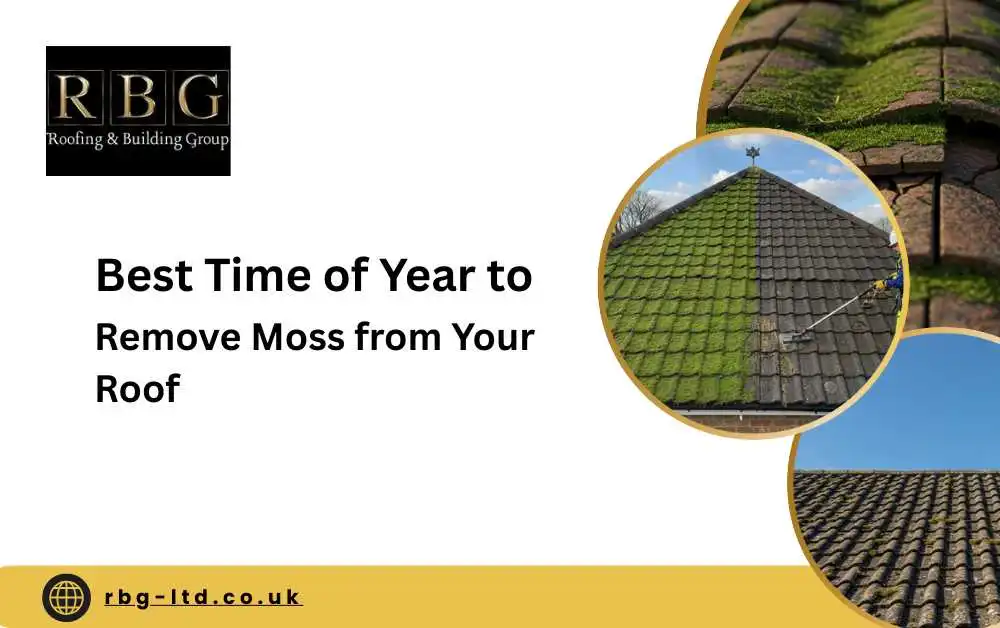 best time of year to remove moss from roof