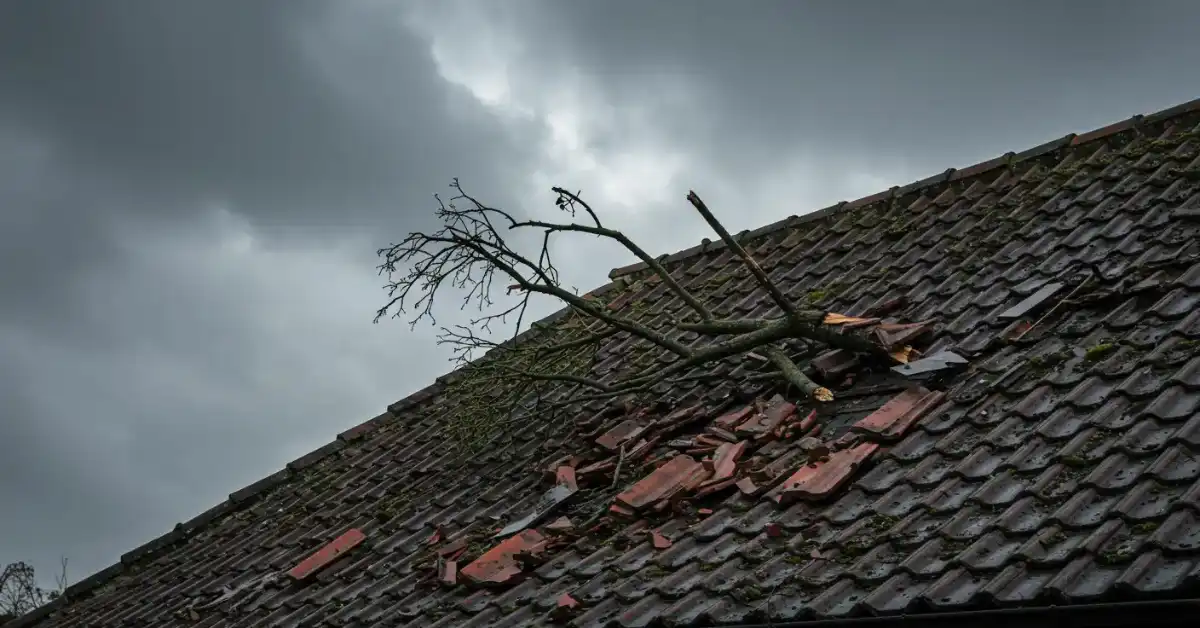 Does Home Insurance Cover Roof Leaks? 2 Storm damage on a house roof with fallen tree branch