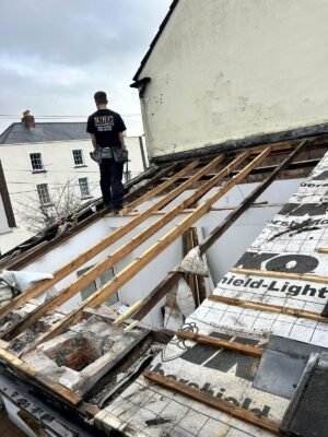 WhatsApp Image 2026 03 23 at 6.32.20 PM