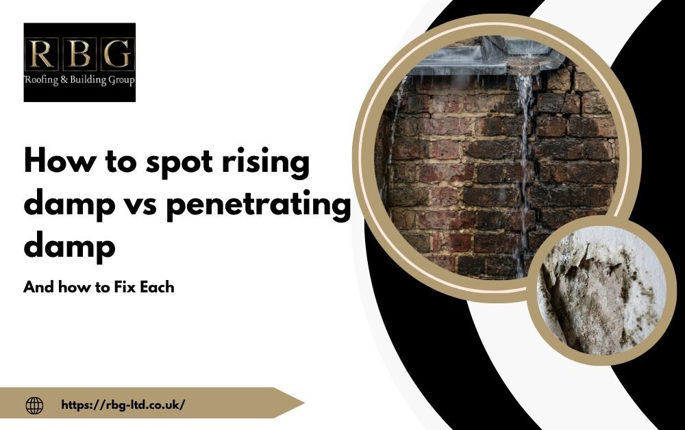 How to spot rising damp vs penetrating damp and how to Fix Each 2 How to spot rising damp vs penetrating damp